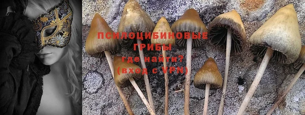а пвп мука Каменногорск