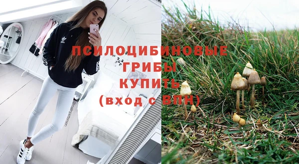 трава Каменка