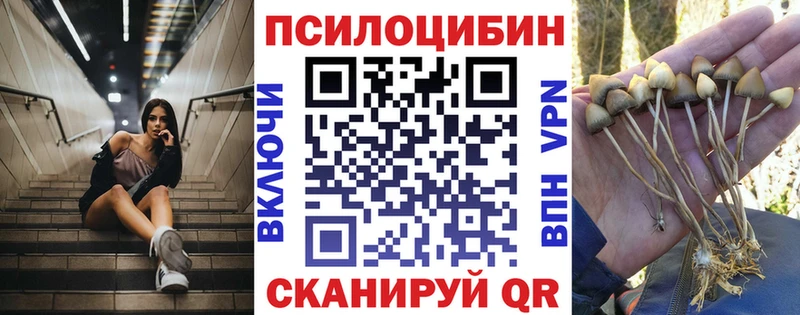 Галлюциногенные грибы мухоморы  Купить закладки  Дигора 