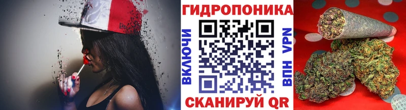 Каннабис марихуана  Купить где  Дигора 